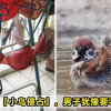 Bird Bra Featured 2