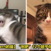 1 12