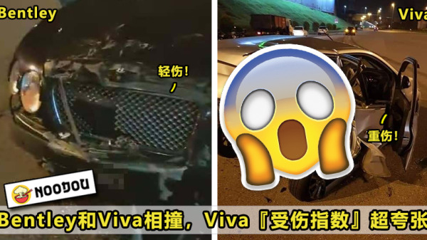 bentleyviva 1