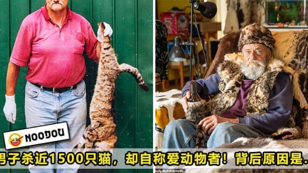 Cat Thanos Featured