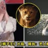 Lion King Featured 1