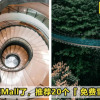 screenshot noodou.com 2020.09.04 16 59 48