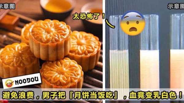 mooncakepsd