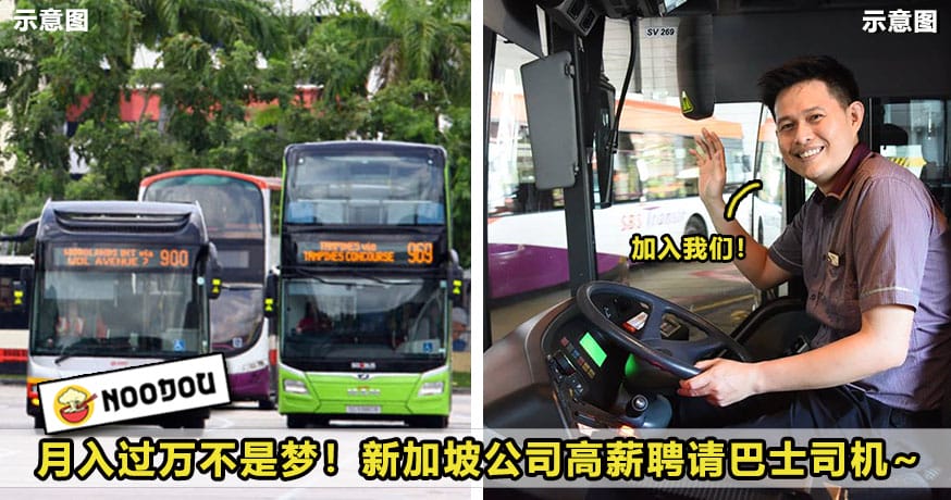 SGbusdriver
