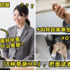 Weird HR Featured