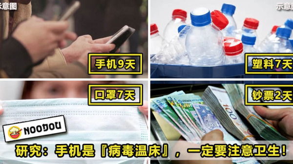 存活8 1