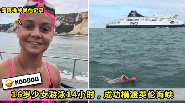 3 6