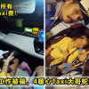 Tipu Taxi Featured