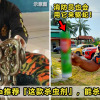 Snake Spray Featured