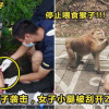 monkey 1