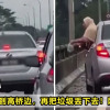 高桥2.0