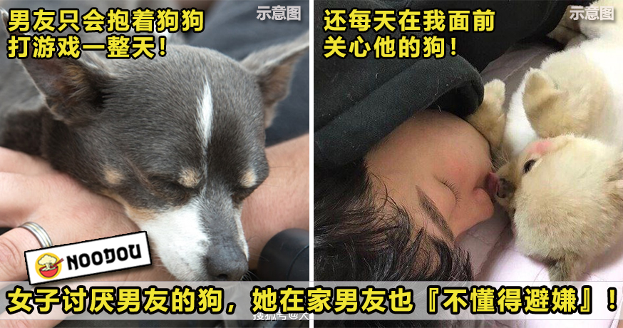 GF Hate Dog Featured 1