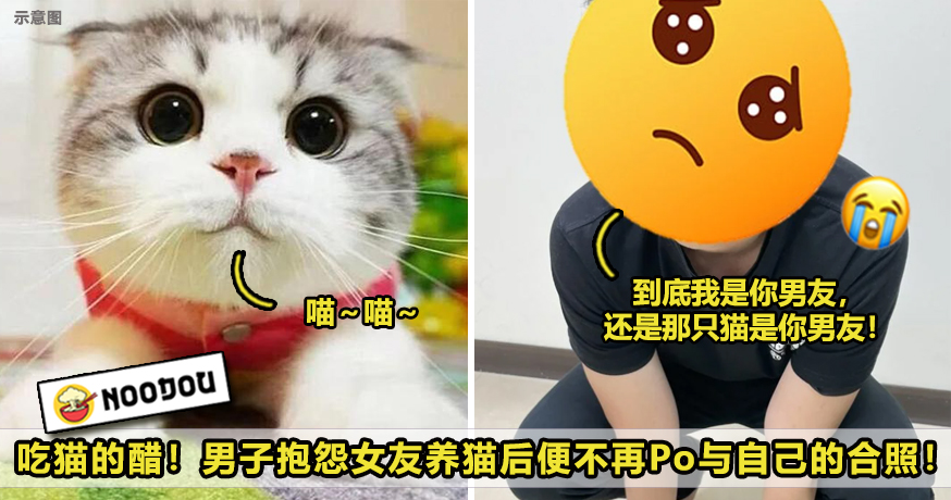cat3