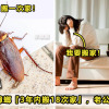 Cockroach Move House Featured