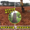 Grave Gone Featured