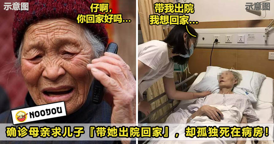 2images 5