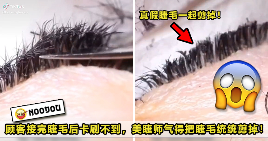 Cut Lashes Featured