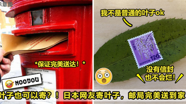 ft image leaf