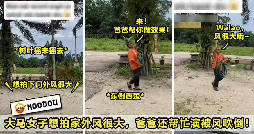 ft image 风很大