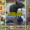 zoo negara malaysia ft image V7