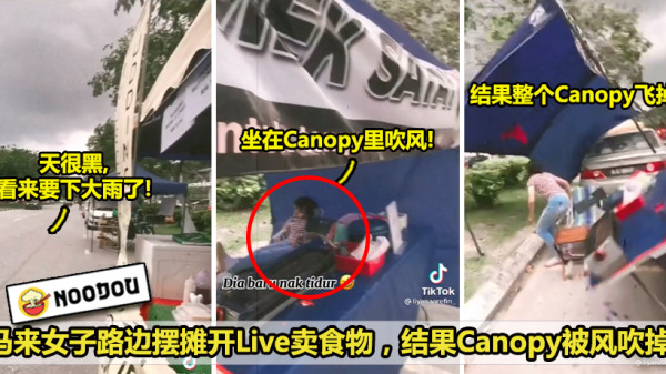 canopy被风吹掉 copy