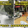 2images 12