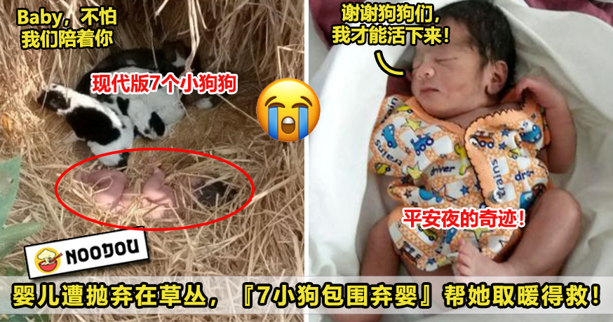 女婴被抛弃 image V1