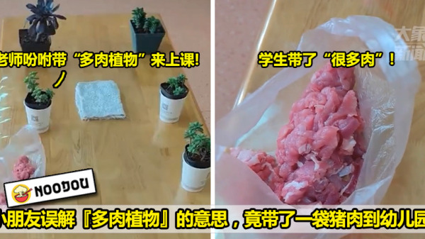 学生带肉 copy
