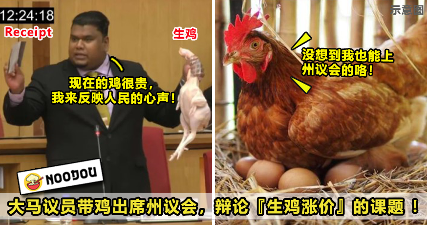 议员 ftimage