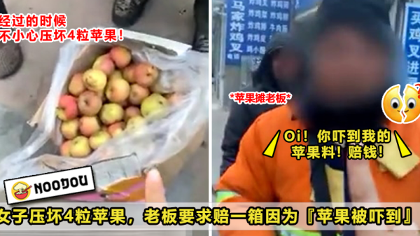 212 苹果被吓到2