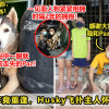 狗狗走失重逢 V1