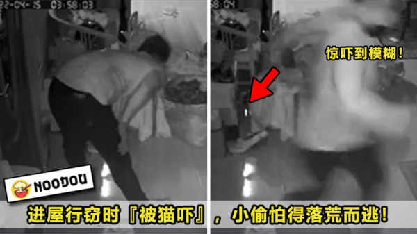 Burglar Scared of Car Featured 2