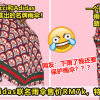 2images 22 13
