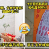 2images 22 27