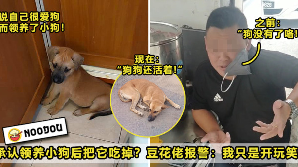Man Admits Eat Adopted Puppy Feature Image 3