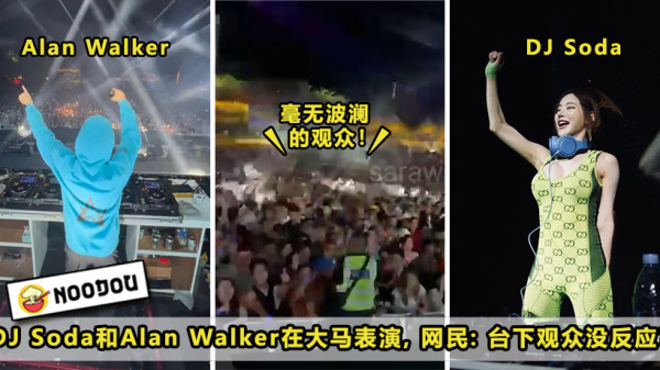 DJ Soda Alan Walker Perform Crowd Boring Feature Imagevt