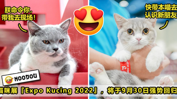 expo kucing ft updated