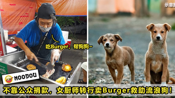 2images copy 3 1