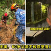 2images copy 3 27
