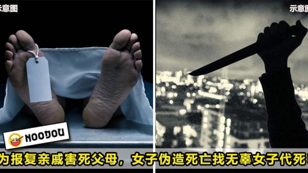 2images copy 3 6