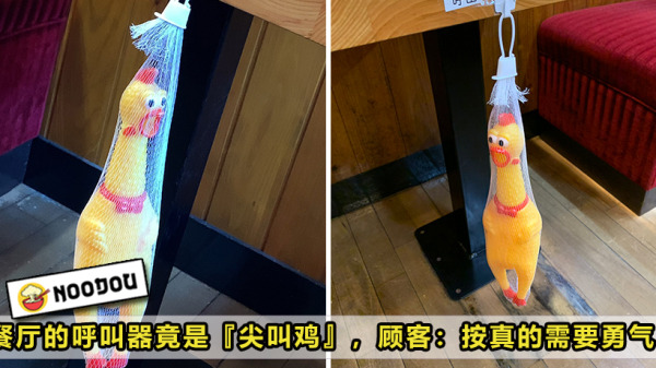 Chicken Toy Call Button Restaurant Feature Image
