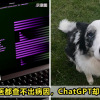 ChatGPT Saved Dogs Life Feature Image