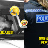 狗狗背锅侠