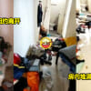 Ft img lastest垃圾堆 2