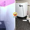 Toilet Drop Hit Head Feature Image