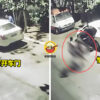 Ft img lastest 被抢车