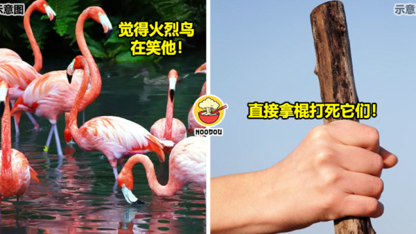 醉酒杀鸟