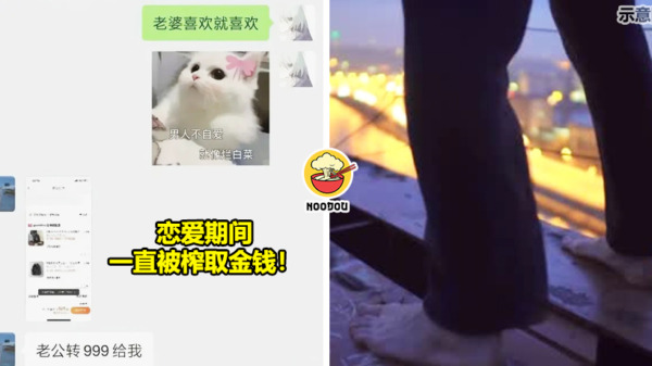 胖猫事件