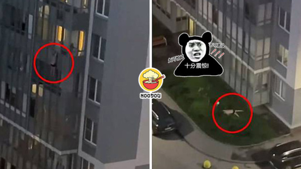 2images 1 copy 3 20