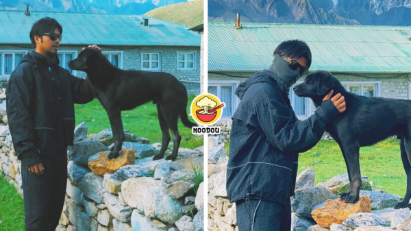 Malay man pet dog being critized